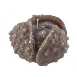 Lumanare chestnut bur- 343105