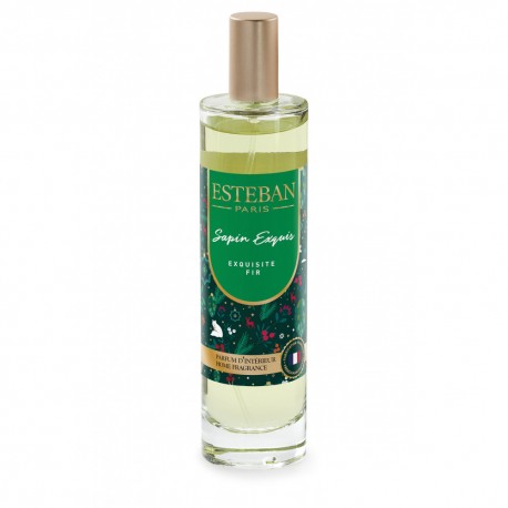 Spray de camera Esteban Paris Exquisite Fir 50 ml Editie de Craciun ELN-067