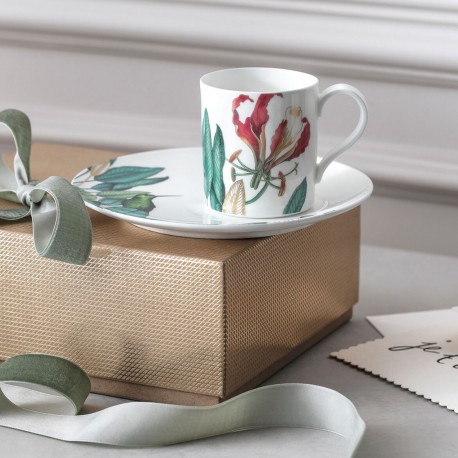 Ceasca cafea cu farfuriuta, Avarua Villeroy&Boch-393646/393653