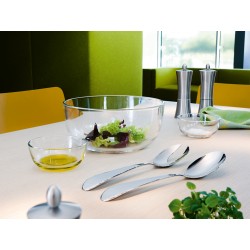 Set servire salată Sereno XXL 297 x 65 x 30 mm, Villeroy&Boch-167476
